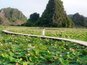 8-Day Vietnam Tours
